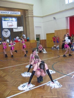 Obrázek v galerii