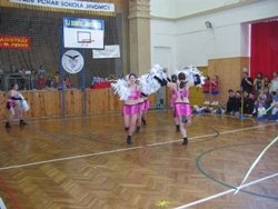 Obrázek v galerii