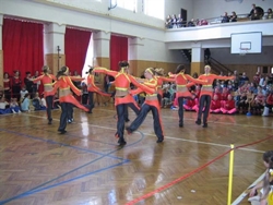 Obrázek v galerii
