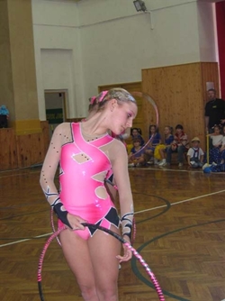 Obrázek v galerii