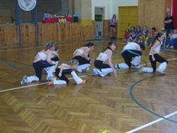 Obrázek v galerii