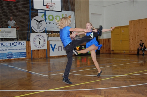 Obrázek v galerii
