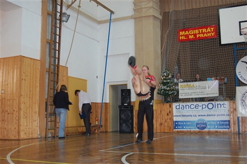Obrázek v galerii
