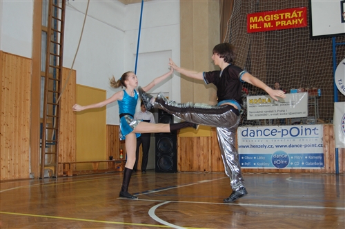 Obrázek v galerii