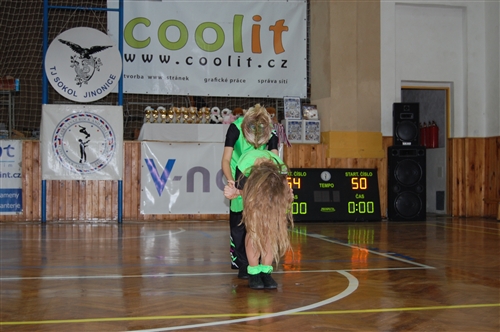 Obrázek v galerii