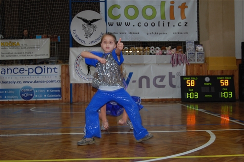 Obrázek v galerii