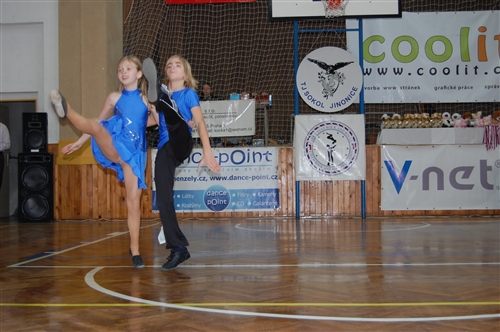 Obrázek v galerii