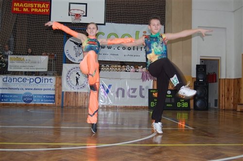 Obrázek v galerii