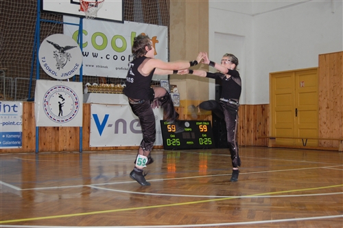 Obrázek v galerii