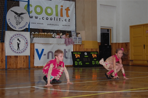 Obrázek v galerii