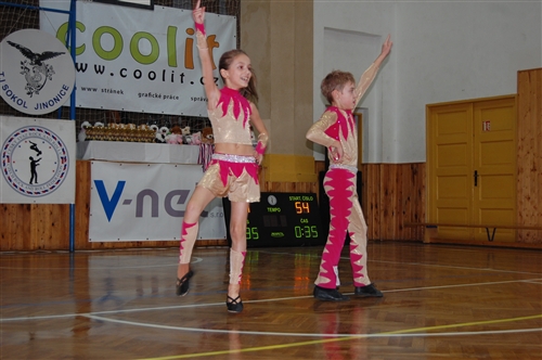 Obrázek v galerii