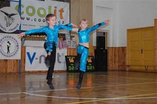 Obrázek v galerii