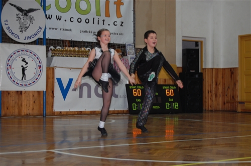 Obrázek v galerii