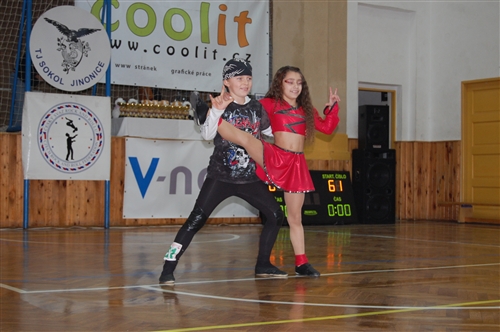 Obrázek v galerii