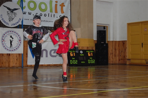 Obrázek v galerii