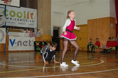 Obrázek v galerii