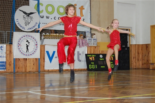 Obrázek v galerii