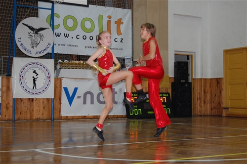 Obrázek v galerii