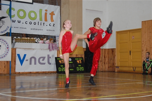 Obrázek v galerii