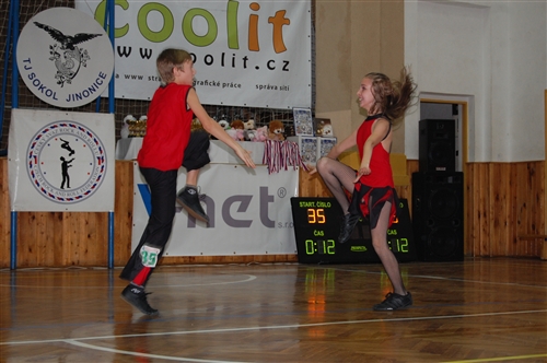 Obrázek v galerii