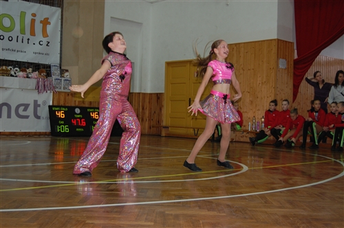 Obrázek v galerii