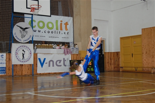 Obrázek v galerii