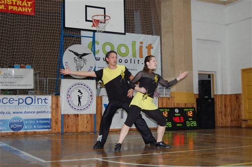 Obrázek v galerii