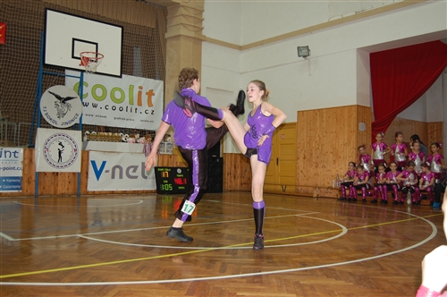 Obrázek v galerii