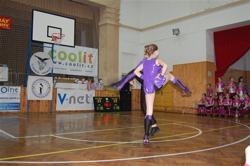 Obrázek v galerii