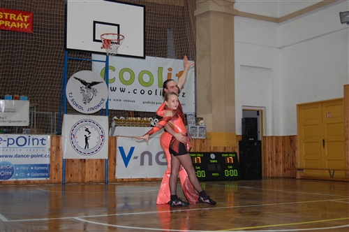 Obrázek v galerii