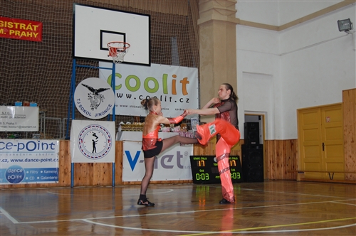 Obrázek v galerii