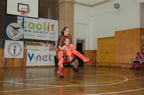 Obrázek v galerii