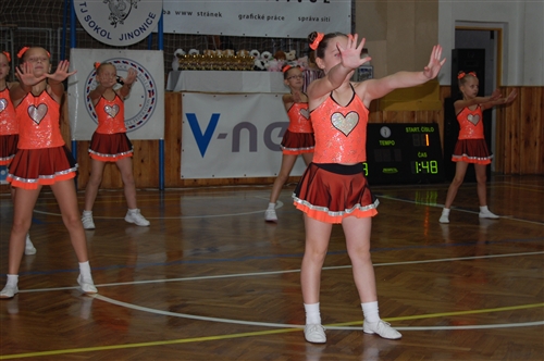Obrázek v galerii