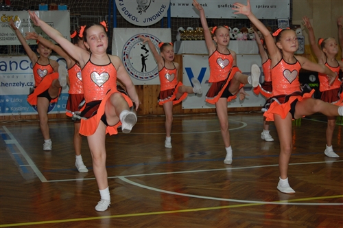 Obrázek v galerii