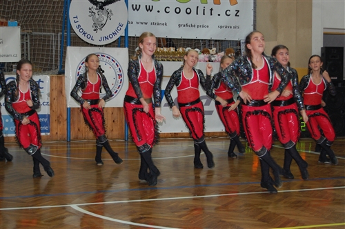 Obrázek v galerii