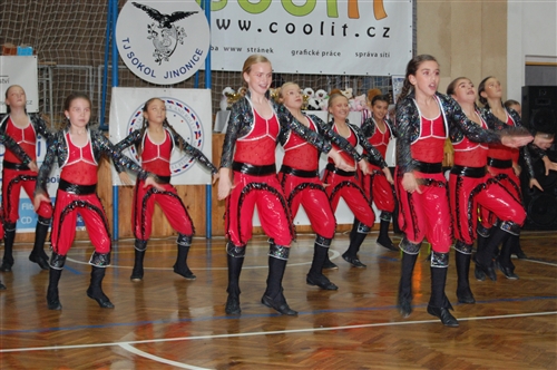 Obrázek v galerii