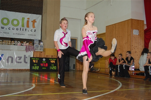 Obrázek v galerii