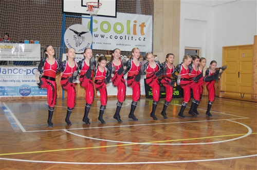 Obrázek v galerii