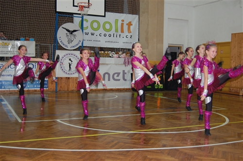 Obrázek v galerii