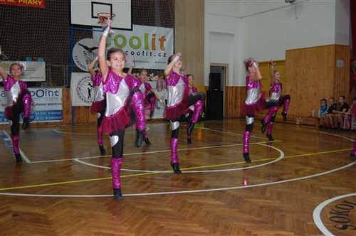 Obrázek v galerii