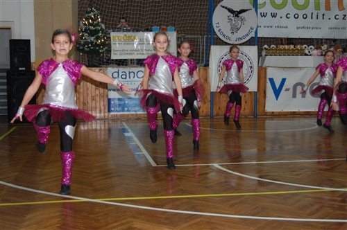 Obrázek v galerii