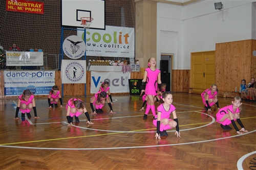 Obrázek v galerii
