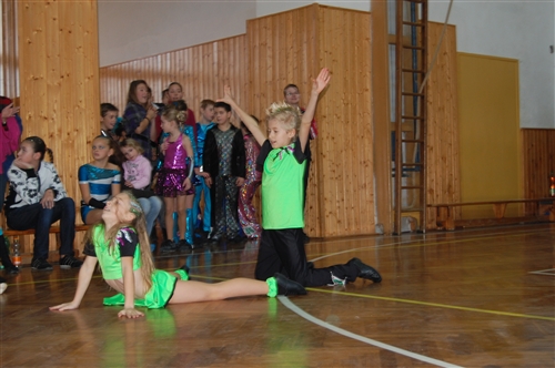 Obrázek v galerii