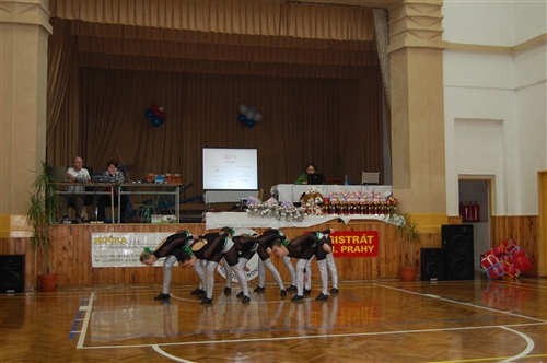 Obrázek v galerii