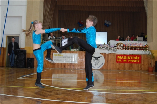 Obrázek v galerii