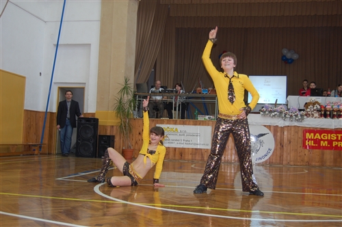 Obrázek v galerii