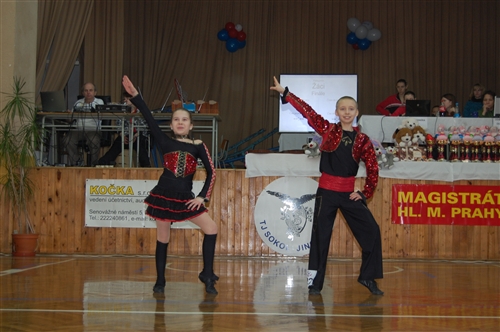 Obrázek v galerii