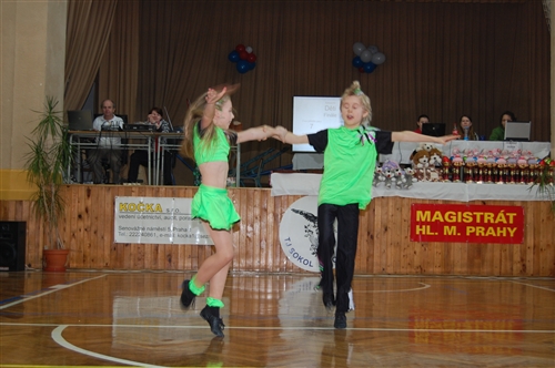 Obrázek v galerii