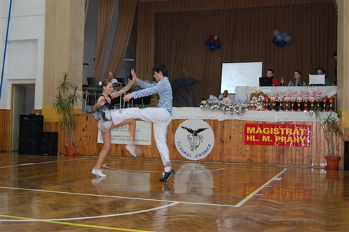 Obrázek v galerii