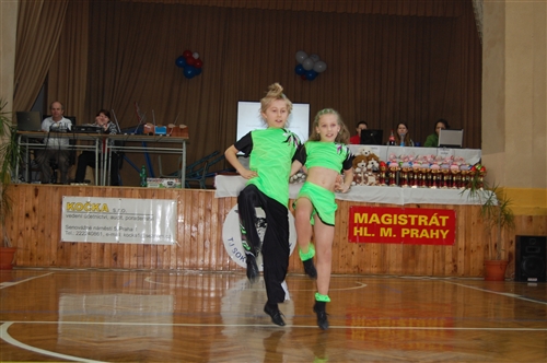 Obrázek v galerii